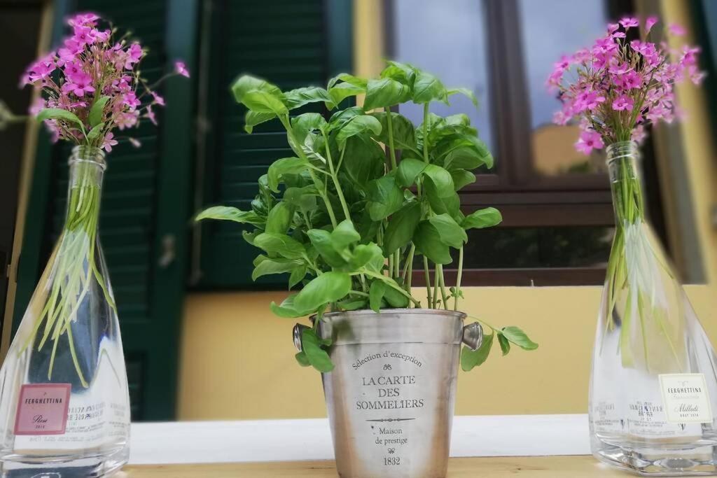 Flower Garden Apartment Vicino Al Centro Florence Buitenkant foto
